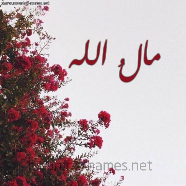 شكل 18 صوره الورد الأحمر للإسم بخط رقعة صورة اسم مالُ الله MALO-ALLH